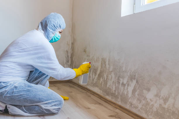 Licensed Crawl Space Mold Removal service in Onemo, VA - WQB Mold Removal