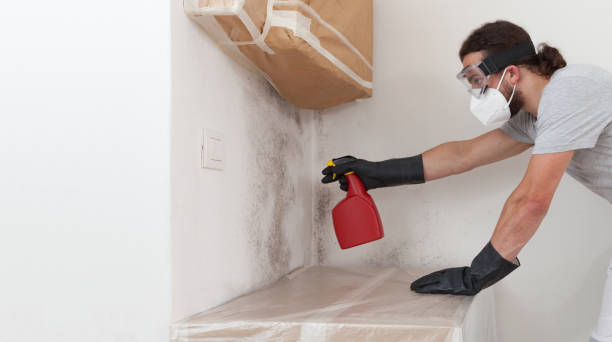 Professional Crawl Space Mold Removal technician working in Onemo, VA