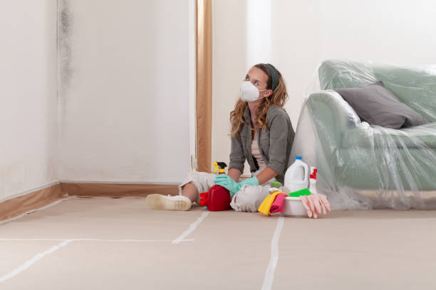 Reliable Crawl Space Mold Removal contractor in Onemo, VA by WQB Mold Removal